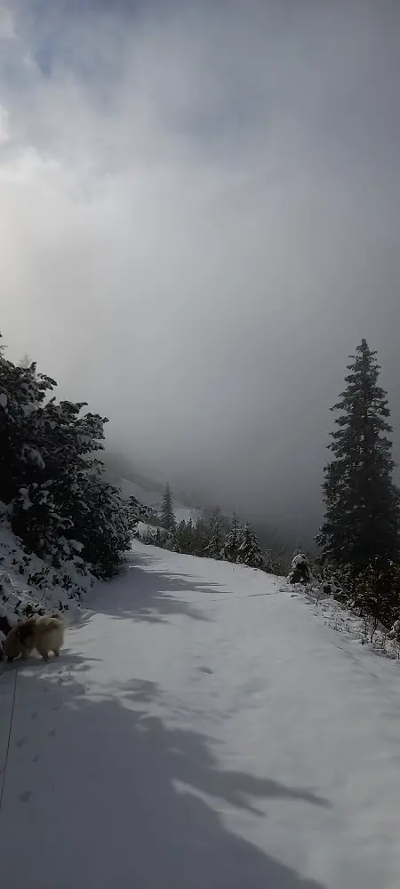 Schnee