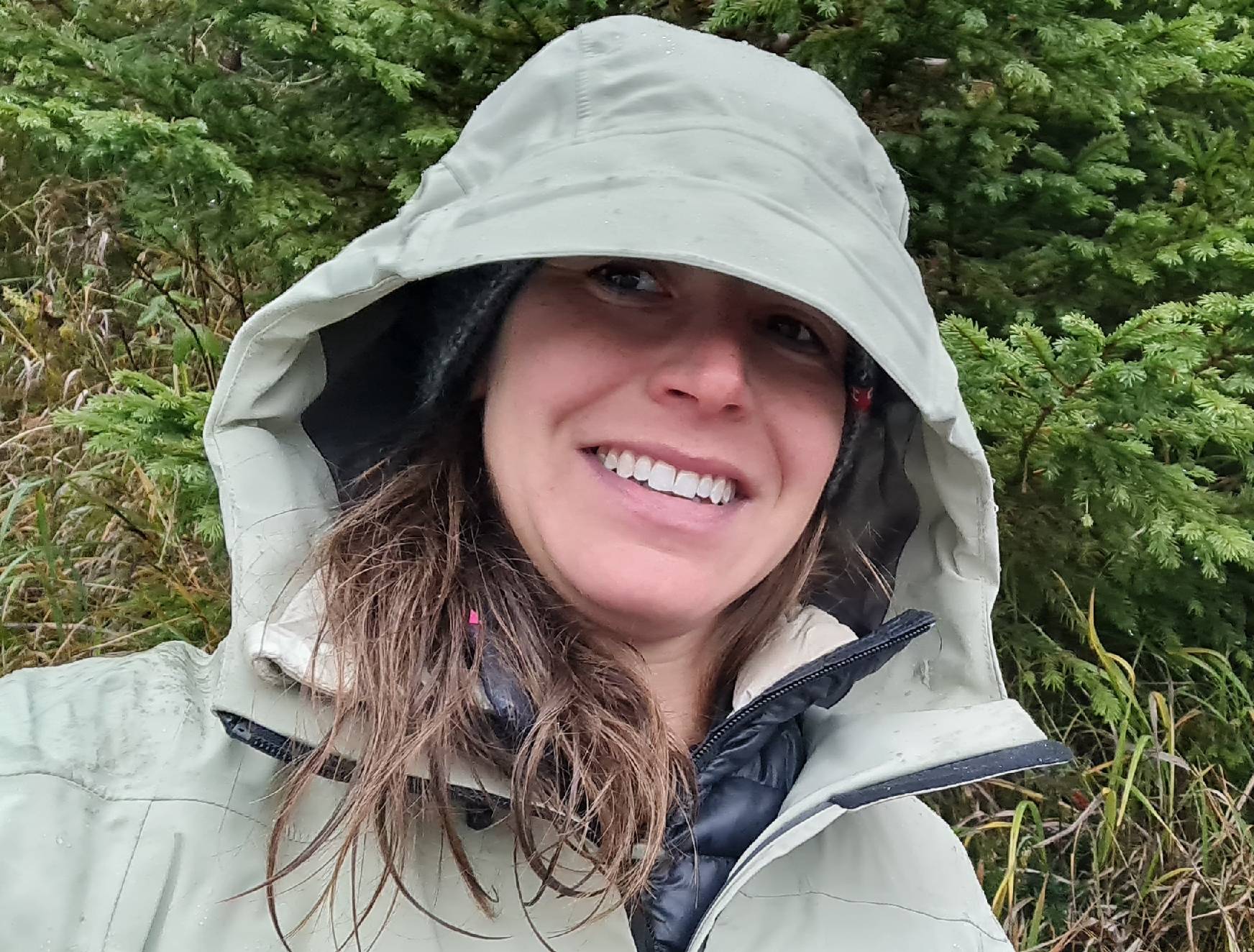 wandern offen