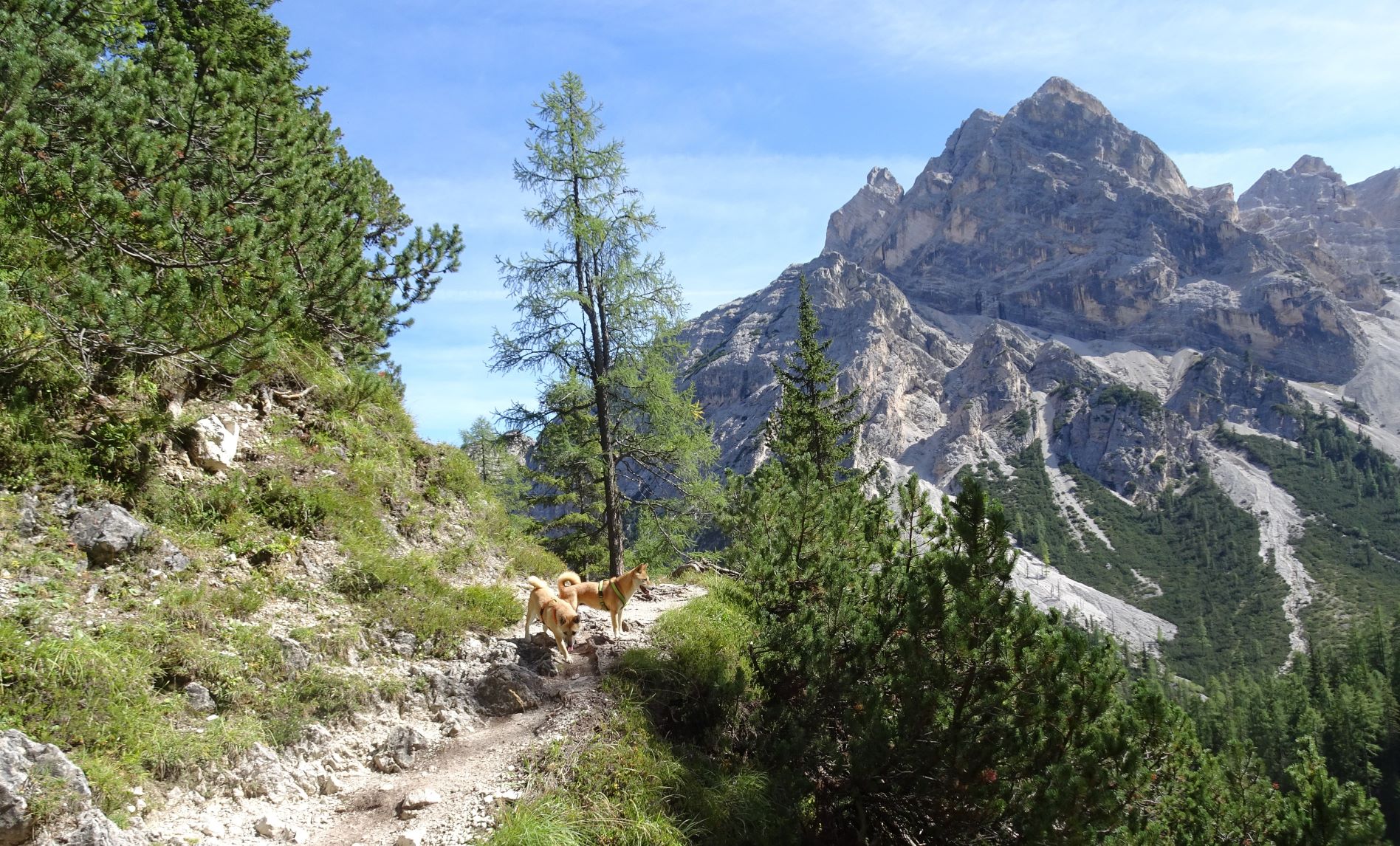 Wanderweg