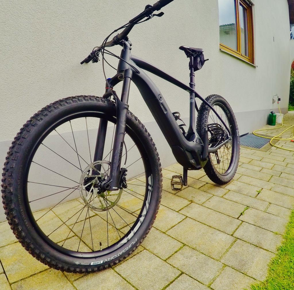 Laudi250