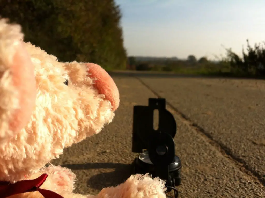 Outdoorschwein