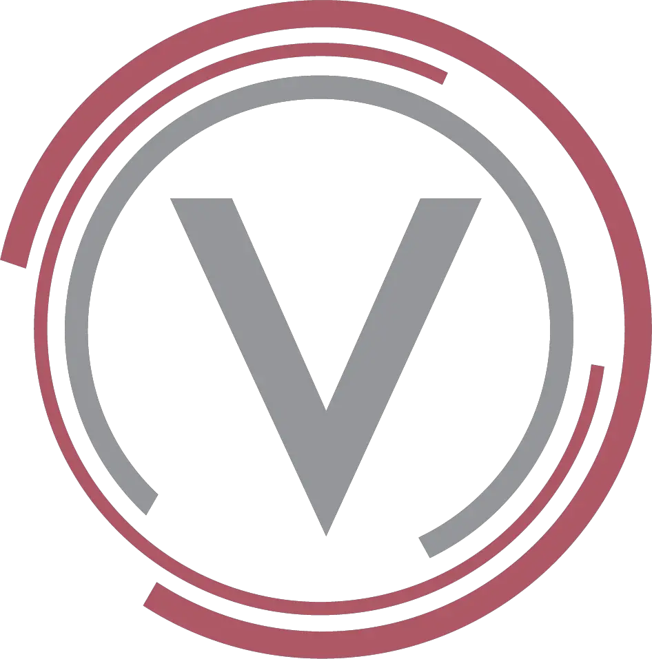 vision-o