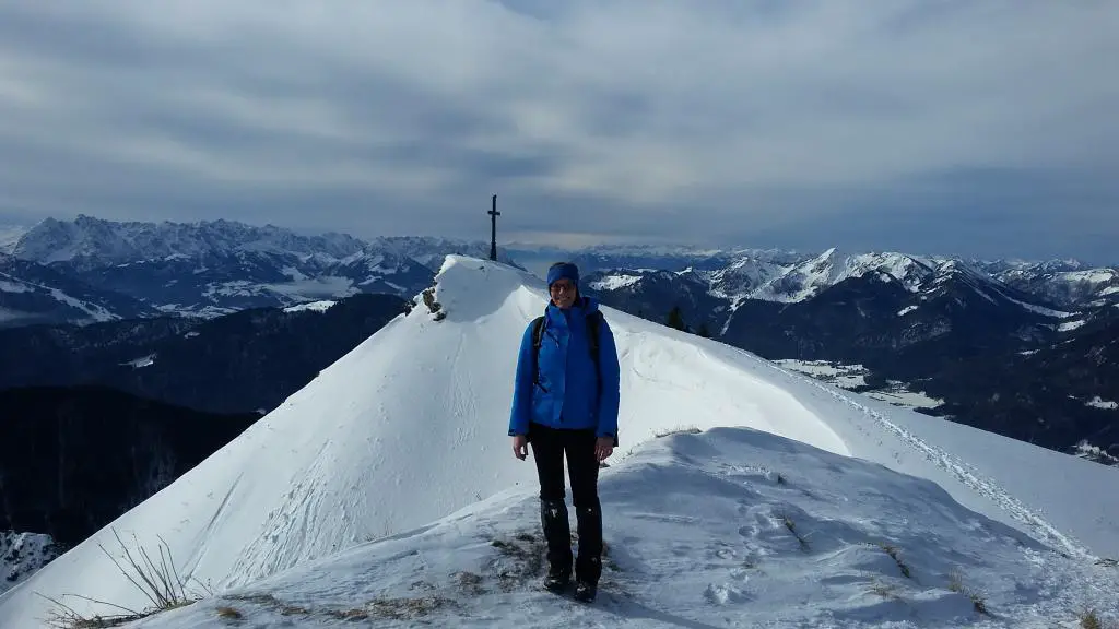 DieBergziege