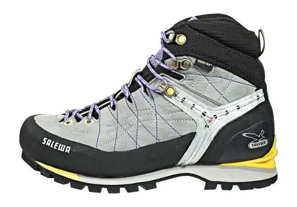 SALEWA Rapace GTX - Wanderstiefel