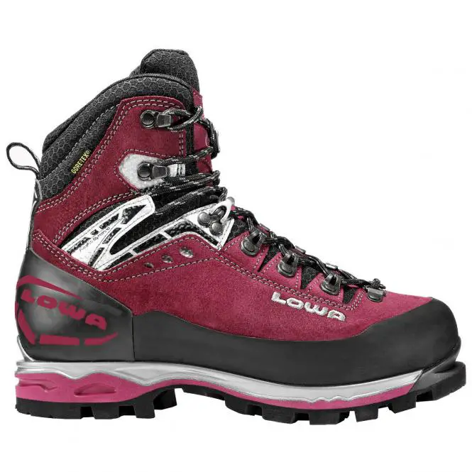 LOWA Mountain Expert GTX EVO - Bergstiefel
