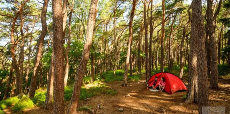 Trekkingplätze in Deutschland Südliche Weinstraße