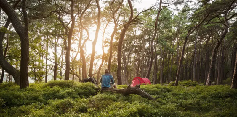 Trekkingplätze in Deutschland Südliche Weinstraße