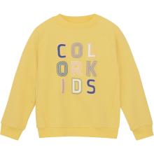 Color Kids Kinder Logo Print Pullover