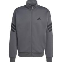 adidas Herren Future Icons Pullover