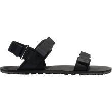 Xero Shoes Herren D-Trail Schuhe