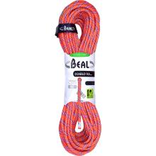 Beal Diablo Uni Core 9.8 Kletterseil