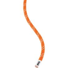 Petzl Club 10mm Halbstatisches Seil