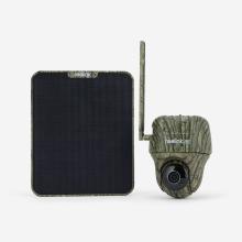 Wildkamera Fotofalle 360° 4G Reolink G450 mit Solarpanel