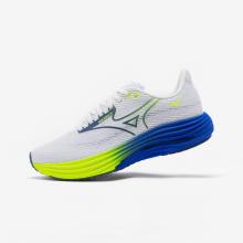 Laufschuhe Herren Mizuno - Wave Rider 29