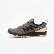 Wanderschuhe Damen wasserdicht - Salomon Saliba grau