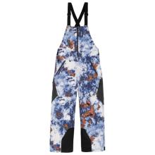 Armada - Emmons 3L Bib - Skihose Gr S grau