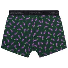 DEDICATED - Boxer Briefs Kalix Egg Plant - Alltagsunterwäsche Gr S grün