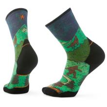 Smartwool - Trail Run Targeted Cushion Neature Crew Socks - Laufsocken Gr 38-41 bunt