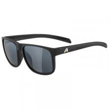 Alpina - Nacan III Mirror Cat. 3 - Sonnenbrille grau