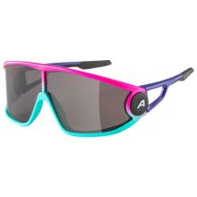 Alpina - Legend Cat. 3 - Sonnenbrille grau