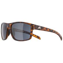 Alpina - Nacan I S3 - Sonnenbrille grau