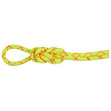 Mammut - 9.5 Alpine Core Protect Dry Rope - Einfachseil Gr 30 m gelb