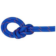 Mammut - 9.5 Crag Dry Rope - Einfachseil Gr 40 m blau