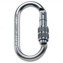 C.A.M.P. - Oval Pro Lock - Stahlkarabiner grau