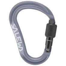Salewa - Ortles HMS M Carabiner - HMS-Karabiner grau