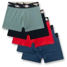 Sanetta - Kid's Set Shorts 337333 5-Pack - Unterhose Gr 92 bunt