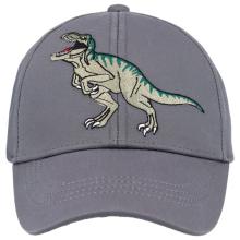maximo - Boy's Cap Dino Stickerei Klettverschluss - Cap Gr 49-51 cm grau