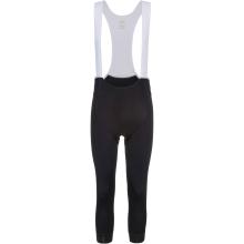 GOREWEAR SWIFTRIDE Bibtights Herren