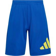 adidas Kinder Train Essentials Big Logo Shorts