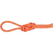Mammut 7.5 Alpine Sender Dry 70m Kletterseil