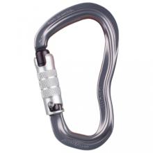 AustriAlpin - Pirum 3-Wege Autolock - Verschlusskarabiner Gr One Size grau