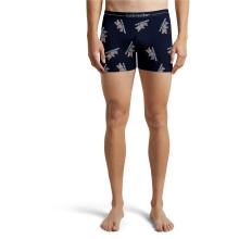 Icebreaker Herren Merino 150 Anatomica Bear Tour AOP Boxer