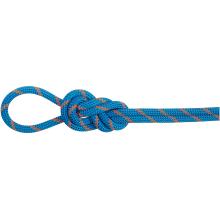 Mammut 8.0 AlpineDry Kletterseil