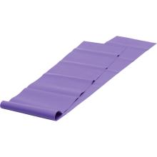 Yogistar Pilates Stretchband