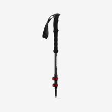 Corto Wanderstöcke 2 Stück - Fuji Carbon
