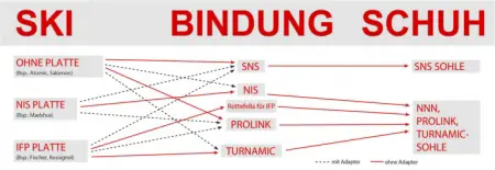 Schaubild