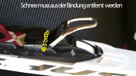 bindung
