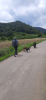 Wandern mit Hund
