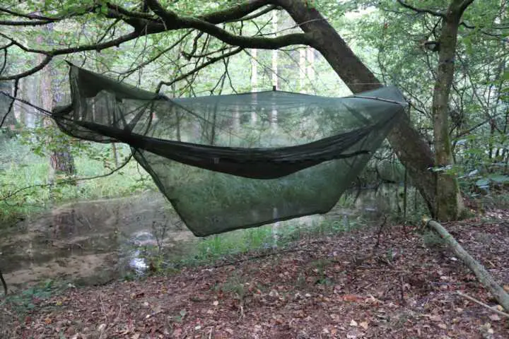 Brettschneider Rainforest